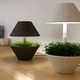 Illustration for article titled LightPot is a Simple and Elegant way to Grow Plants in Your Lamp
